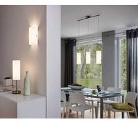 Eglo Troy 3 Satin Glass & Steel Wall Light In Silver Silver