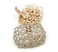 EGLUCK 1pcs Charming Buckle Rhinestone Shoe Clip Shiny Decorative Clips Women Shoe Decorations, Gold