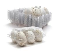 Egoaugx Plastic Goose Egg Cartons Cheap Bulk Empty Clear Large Duck Eggs Tray Holders Box for Farm Reusable Storage Container (50, 2×3)