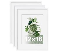 EGOFINE 12X16 Picture Frames, 12X16 Frame Display 8.5X11 with Mat Covered by Plexiglass, for Wall Mounting, White, 3Pcs