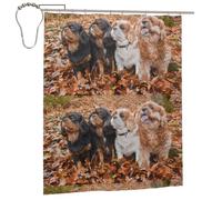 EgoMed Shower Curtain 60x72 Inch,Bathroom Decor Waterproof Fabric Shower Curtains with Hooks,Cavalier King Charles Spaniel Autumn Puppies