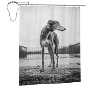 EgoMed Shower Curtain 60x72 Inch,Bathroom Decor Waterproof Fabric Shower Curtains with Hooks,Greyhound