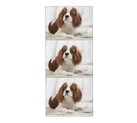 EgoMed Towel 30 x 70 cm,Hand Towel, Soft Bath hand towels for Kitchen Hotel Gym Laundry Room，Cavalier King Charles Spaniel Brown Spaniel