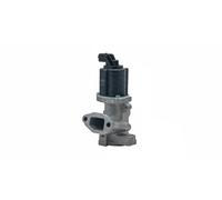 MAGNETI MARELLI 571822112001 EGR valve