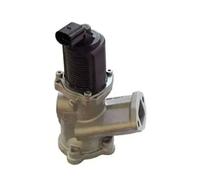 MAGNETI MARELLI 571822112002 EGR valve