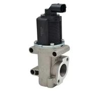 MAGNETI MARELLI 571822112007 EGR Valve for ALFA ROMEO,FIAT,OPEL,SAAB,SUZUKI