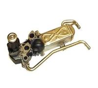 EGR AGR valve 571822112070 MAGNETI MARELLI for SEAT SKODA VW