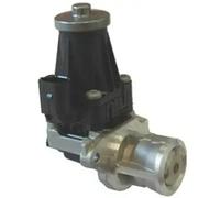 MAGNETI MARELLI 571822112072 EGR valve