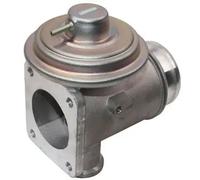 MAGNETI MARELLI 571822112091 EGR valve