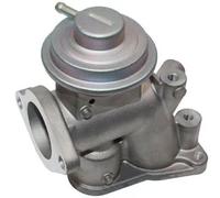 MAGNETI MARELLI 571822112118 EGR valve
