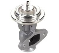 MAGNETI MARELLI 571822112119 EGR valve