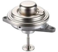 MAGNETI MARELLI 571822112131 EGR valve