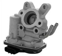 MAGNETI MARELLI 571822112141 EGR valve