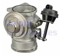 DELPHI EG10409-12B1 EGR valve
