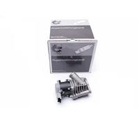 ESEN SKV 14SKV173 EGR valve