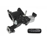 Egr Valve MV592Q