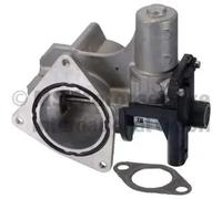 PIERBURG 7.00823.06.0 EGR valve