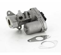 TRISCAN 8813 10002 EGR valve