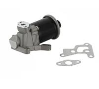 TRISCAN 8813 29100 EGR valve