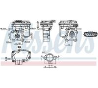 NISSENS 98447 EGR valve