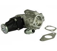 FAST FT60223 EGR valve