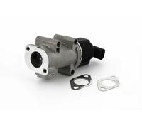 TRISCAN 8813 10005 EGR valve