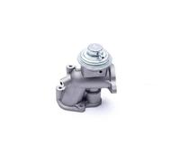 ESEN SKV 14SKV180 EGR valve