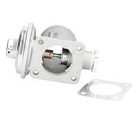 ASHIKA 150-00-0101 EGR valve