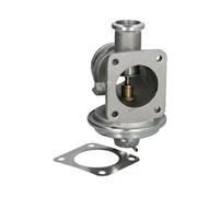 ASHIKA 150-0L-L04 EGR valve