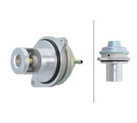 HELLA 6NU 014 865-531 EGR valve