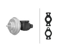EGR AGR valve pneumatic 6NU 014 865-681 HELLA for KIA HYUNDAI