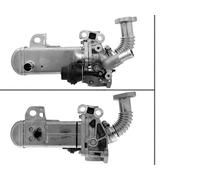 Valeo EGR Valve 700452