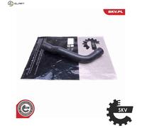 EGR AGR valve Electric 14SKV047 ESEN SKV for MAZDA FORD VOLVO