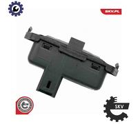 ESEN SKV 14SKV166 EGR valve