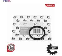 ESEN SKV 14SKV255 EGR valve