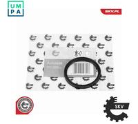 ESEN SKV 14SKV255 EGR valve