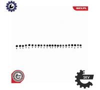 ESEN SKV 14SKV282 EGR valve