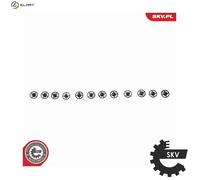 ESEN SKV 14SKV299 EGR valve