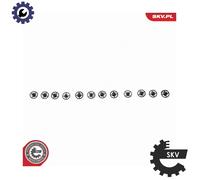 ESEN SKV 14SKV299 EGR valve