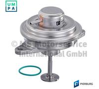 PIERBURG 7.24809.27.0 EGR valve