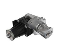 EGR VALVE 703204