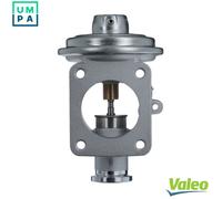 EGR AGR valve pneumatic 703233 VALEO for BMW 3 X3 7 5 X5 5 Touring 3 Touring X6