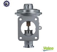 EGR AGR valve pneumatic 703233 VALEO for BMW 3 X3 7 5 X5 5 Touring 3 Touring X6