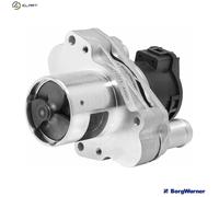 BorgWarner 710471D/1 EGR valve