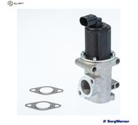 BorgWarner 710770D EGR valve