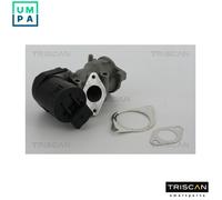 TRISCAN 8813 10001 EGR valve