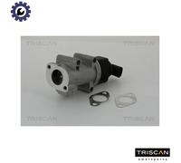TRISCAN 8813 10005 EGR valve