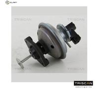 TRISCAN 8813 11002 EGR valve