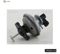 TRISCAN 8813 11002 EGR valve