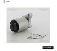 TRISCAN 8813 24002 EGR valve